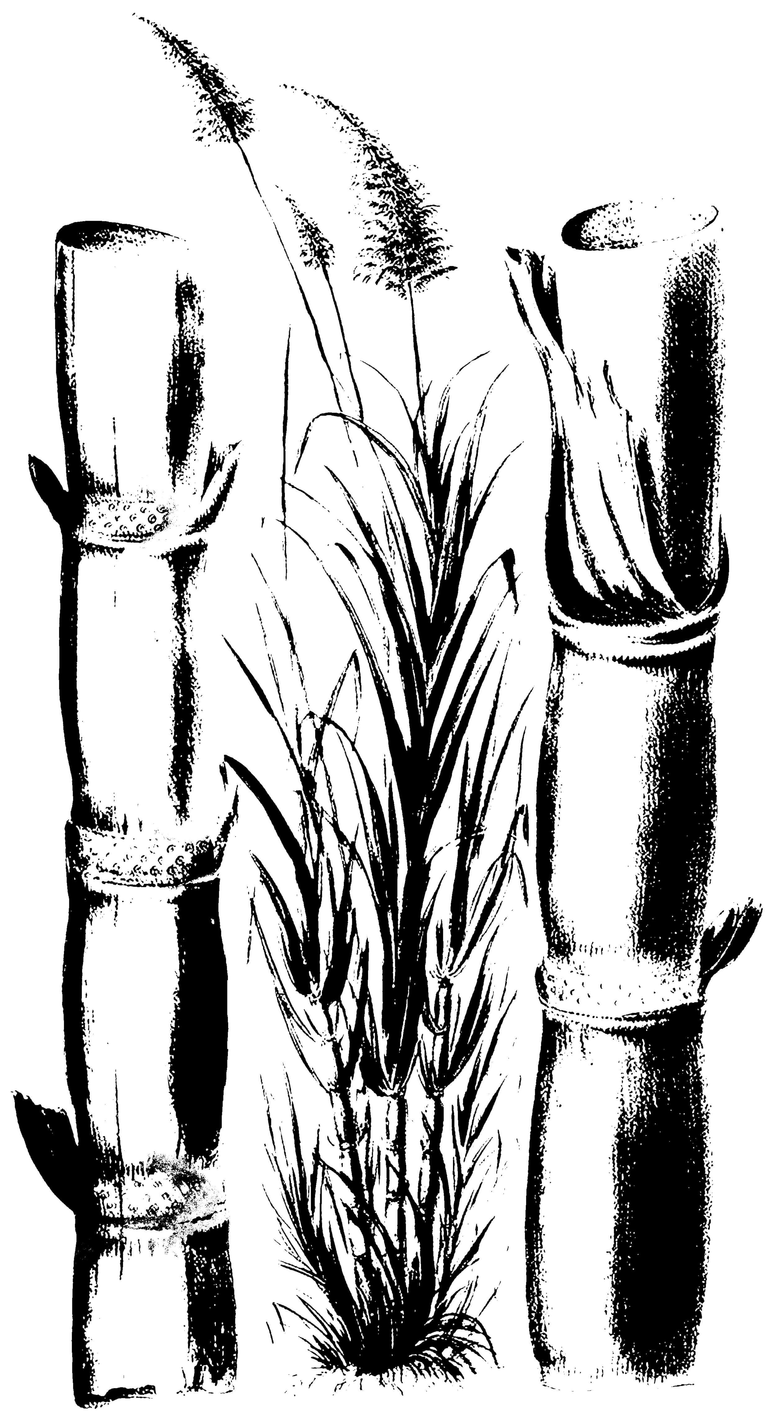 symbol